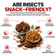 Jerky-n-Spice Bacon & Cheese crickets texture detail highlighting seasoned crispness