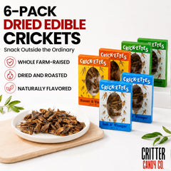 Jerky-n-Spice close-up of Sour Cream & Onion crickets showing crunchy texture benefit