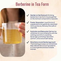 Human Body Clinic brewed cup in hand demonstrating soothing, caffeine-free enjoyment