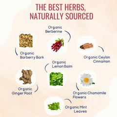 Human Body Clinic loose berberine, cinnamon, mint and chamomile for natural flavor