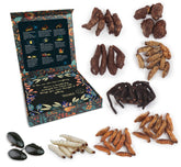 Insnacc front packaging showing the nine-piece insect gift box and clear labeling for gifting
