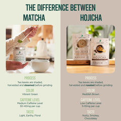 spoon scooping Jade Leaf hojicha powder for easy latte preparation