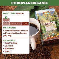 Java Planet pour-over brewing showcasing clean clarity and fruit-forward aroma