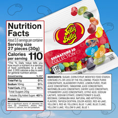 Jelly Belly close-up of bean texture highlighting glossy finish and chew appeal