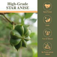 Kah's Journey close-up on star anise pod texture highlighting aroma preservation