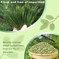 KASVAN iced pine needle drink in glass, refreshing summer option and bright flavor