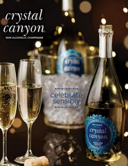 kedem close-up of sparkling bubbles highlighting fresh effervescence benefit