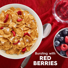 Kellogg's Special K detail of fruit and yogurt oat clusters showing crunchy texture and sweet coating