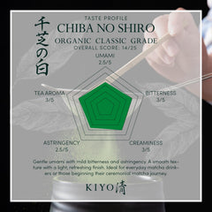 Kiyo Matcha close-up of bright green powder highlighting smooth texture and vivid color
