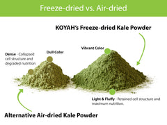 KOYAH powder on spoon showing texture and easy portioning benefit