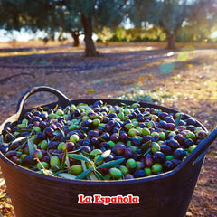 La Española pouring oil closeup highlighting fresh texture and aroma benefit