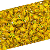 LAETAFOOD front packaging showing 1 lb bag and lemon imagery for easy identification