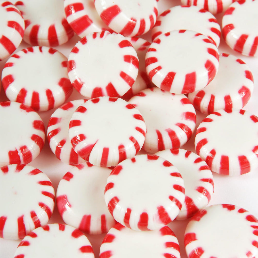 LAETAFOOD front packaging showing 1 lb bag and peppermint starlights freshness