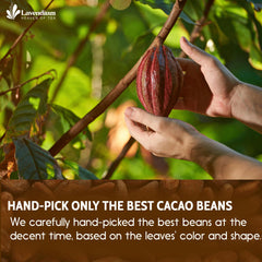 Lavendium cacao used in brownies demonstrating rich chocolate flavor in baking