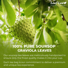 LeafLea loose dried soursop leaves texture and color showing natural freshness