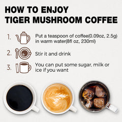 LOKO nature ingredient plate with Reishi, Chaga and Arabica beans showing natural origins benefit