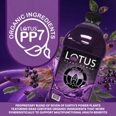 LOTUS PLANT POWER DRINK close-up of vibrant purple concentrate color showing texture and freshness benefit
