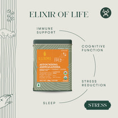 Steeping LUXMI tea in a glass cup to show golden color and soothing warmth