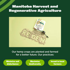 Manitoba Harvest hemp hearts in spoon ready to add plant protein instant boost