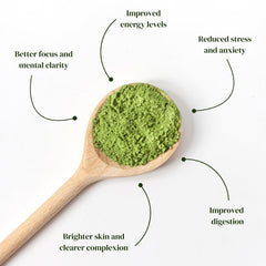 Matcha Kari being whisked in a bowl showing frothy top for smooth preparation