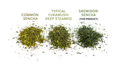 Matcha Konomi close-up of Saemidori loose leaves highlighting vibrant green color and texture