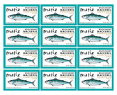 Matiz front packaging of 3 oz tin showing brand and contents benefit portability