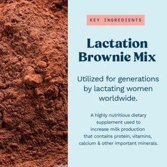 Freshly baked Mommy Knows Best brownie on a plate emphasizing a tasty lactation snack