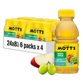 Mott's front packaging showing 24 bottles and on-the-go convenience