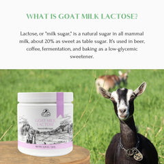 Mt. Capra lactose measured beside baked goods illustrating use in recipes and moisture retention