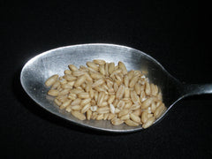 Mulberry Lane Farms oat groats poured into bowl highlighting whole-grain texture and versatility
