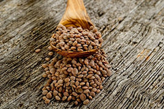 Mulberry Lane Farms open bag with visible brown lentils showing freshness and easy pouring benefit