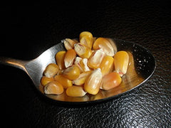 Mulberry Lane Farms close-up of yellow corn kernels highlighting whole-grain texture
