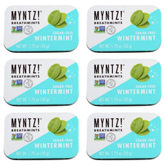 MYNTZ! front tin showing Wintermynt Blast label and travel-ready benefit