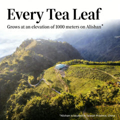 NASLAPH close-up of tightly rolled Alishan leaves, highlights quality and texture