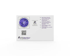 Natural Probiotic Selection powder texture in spoon showing fine freeze-dried cultures