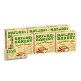 Nature's Bakery front packaging showing box of 36 apple oatmeal bars, convenient storage