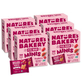 Nature's Bakery front packaging showing raspberry minis and benefits