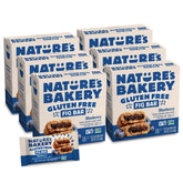 Nature's Bakery front packaging showing blueberry fig bars and multipack convenience