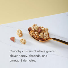 Nature's Path ingredients flatlay with oats almonds and chia seeds showing natural composition