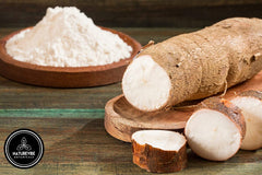Naturevibe Botanicals tortilla made with cassava flour held to show flexibility