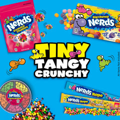NERDS brand single 0.92 oz pack unwrapped displaying rope shape and portion control