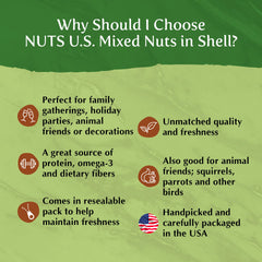 NUTS U.S. bowl of in-shell nuts on table for entertaining convenience