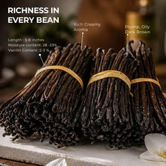 AKshit NYVanilla close-up of seed-filled pod revealing rich seeds for intense flavor