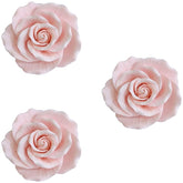 O'Creme garden rose front view showing realistic petals and elegant color