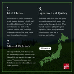 Ocha & Co. brewed kukicha cup top view displaying light green color and clarity
