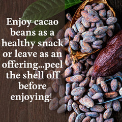 Ground cacao nibs from Ora alongside whole beans showing versatility for recipes