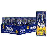 Orangina front can pack showing brand and vibrant citrus, refreshing option