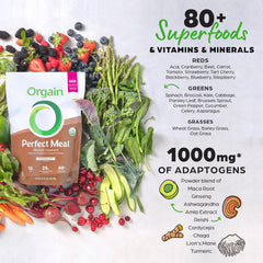 Orgain powder in bowl highlighting fine texture and organic ingredients