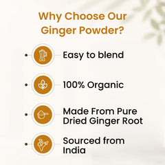 Organic Spice Resource powdered ginger stirred into a bowl suggesting easy cooking use
