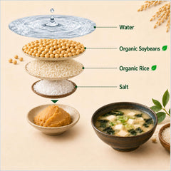 Orgearth spoonful poured into bowl making instant miso soup for quick meals